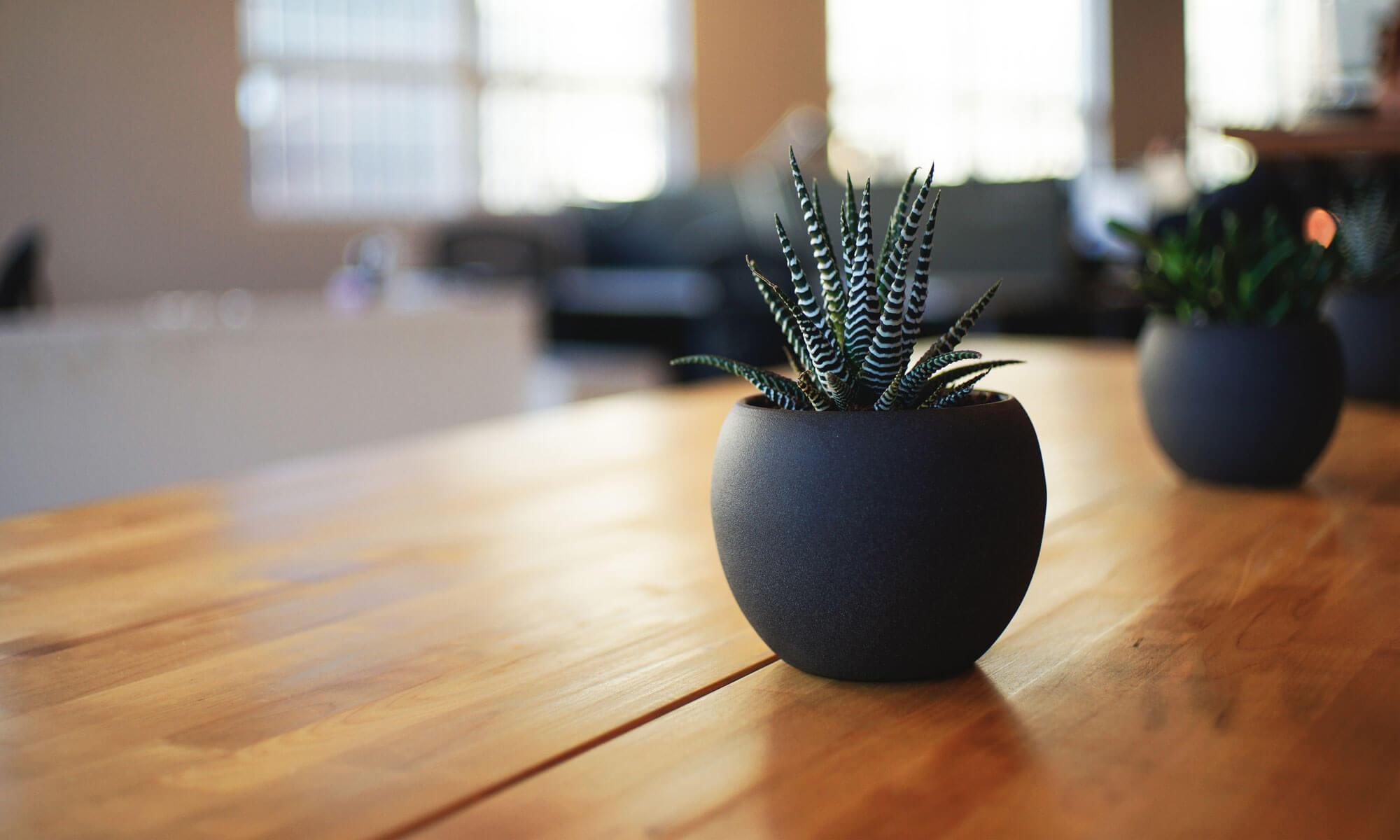 Digital Living Solutions